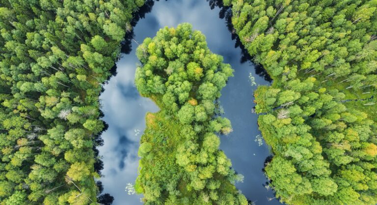 Dos Pinos reafirma su compromiso ambiental en Guatemala con innovación y acciones responsables